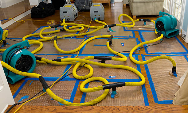 Professional Storm Water Damage Restoration technician working in Goodland, IN